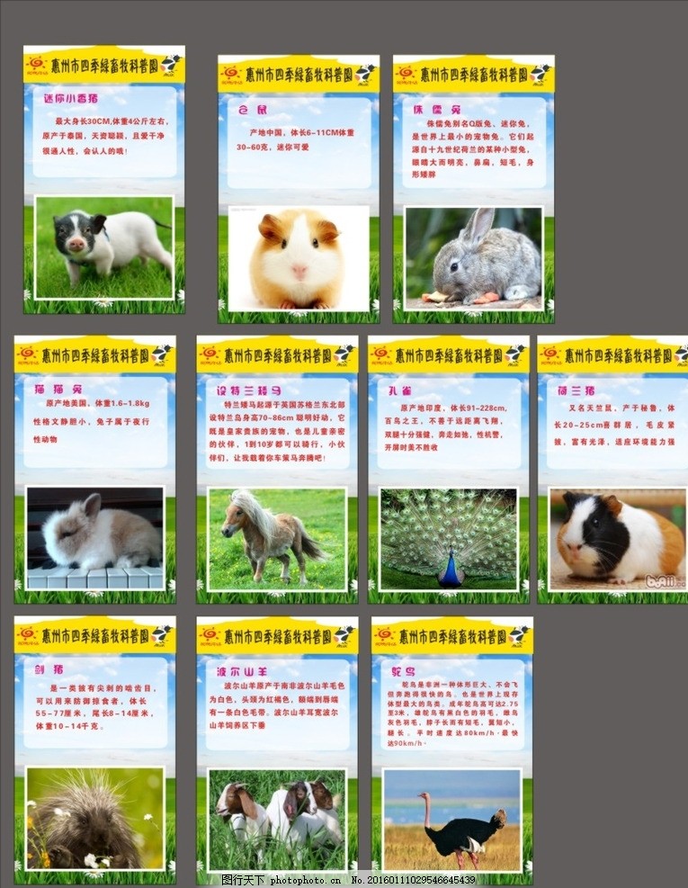 动物简介 动物园展板 动物 可爱的小动物 迷你小动物 小香猪 仓鼠 侏儒兔 安哥拉兔 猫猫兔 矮马 小矮马 孔雀 孔雀开屏 荷兰猪 豪猪 剑猪 波尔山羊 驼鸟 农村展板 动物广告 动物导视 动物园导视 动物描述 动物描述展板 设计 广告设计 广告设计 CDR