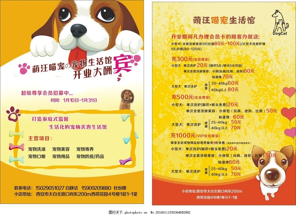 宠物彩页 彩页 宠物 黄色背景 狗狗 宣传单 设计 广告设计 dm宣传单_皮皮网 宠物彩页 彩页 宠物 黄色背景 狗狗 宣传单 设计 广告设计 dm宣传单