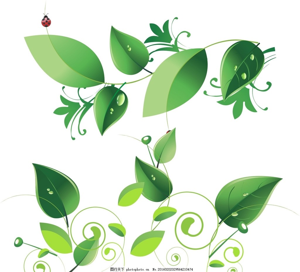 绿藤 树藤,卡通素材 手绘素材 儿童素材 卡通装