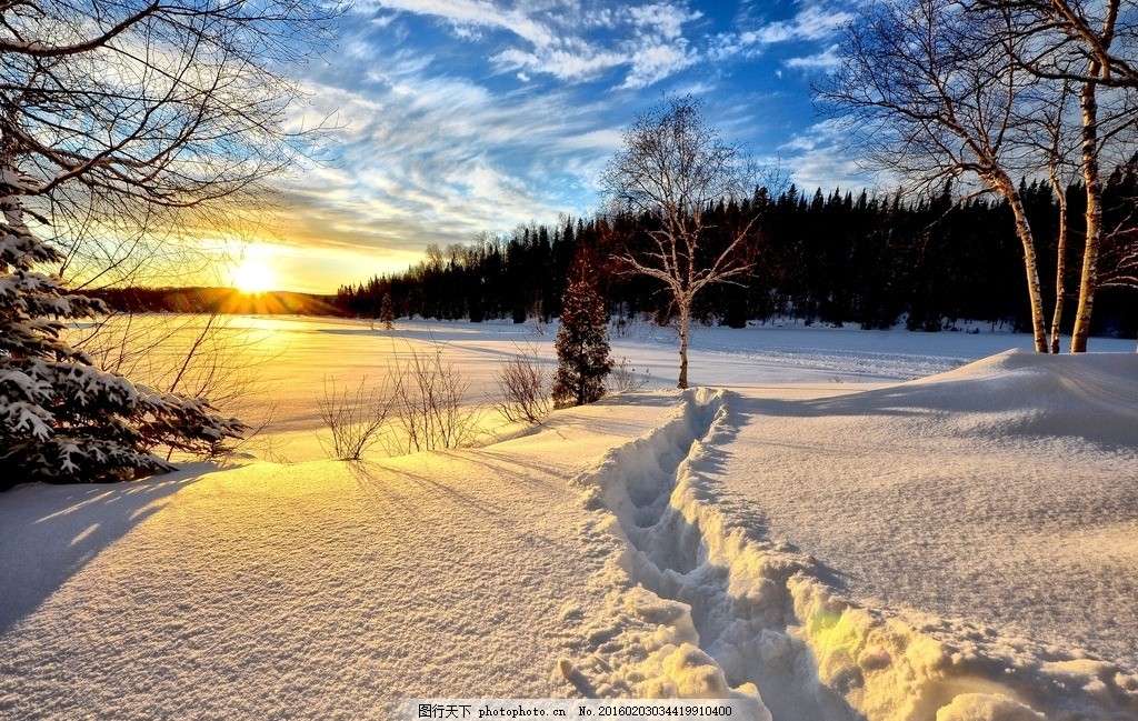 冬天野外雪景 冬天图片 冬季风雪 美丽风景 森林树木 远山近景 夕阳