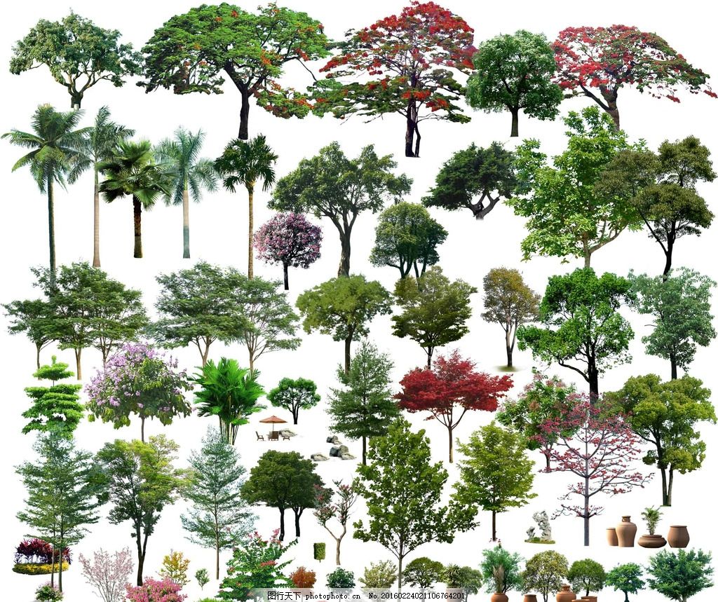 树木素材 后期素材 PS植物 灌木 花草 PS后期素材 写实 树木 植物 近景 绿篱 棕榈 鸡蛋花 玫瑰花 牡丹花 鲜花 红花 草地 后期集合 背景后期 超真实素材 各种植物灌木 鸟瞰树 竹子 树群 设计 PSD分层素材 72DPI PSD 各种后期树 后期背景 鸟瞰 低点 设计 3D设计 3D作品 72DPI PSD