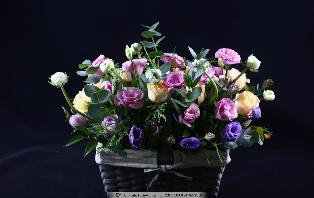 篱笆鲜花花盒 花篮 插花 艺术 高档 摄影 生物世界 花草 鲜花艺术