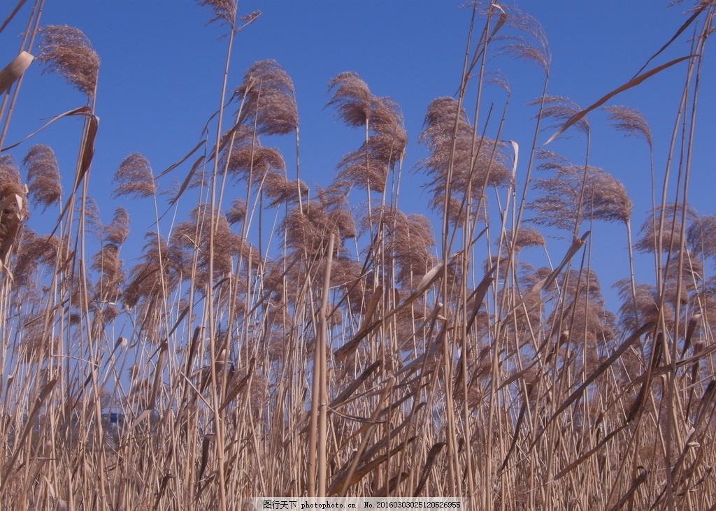 3万亿股份行将迎新行长