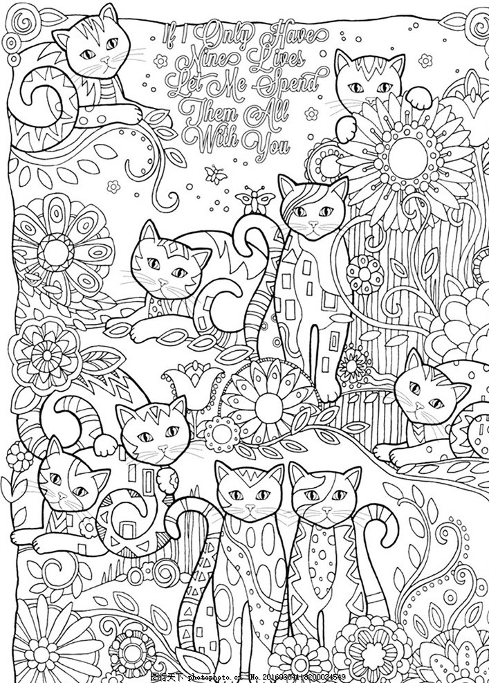 秘密花园 填色卡 猫 简笔画 小学生 绘画 文化艺术 绘画书法