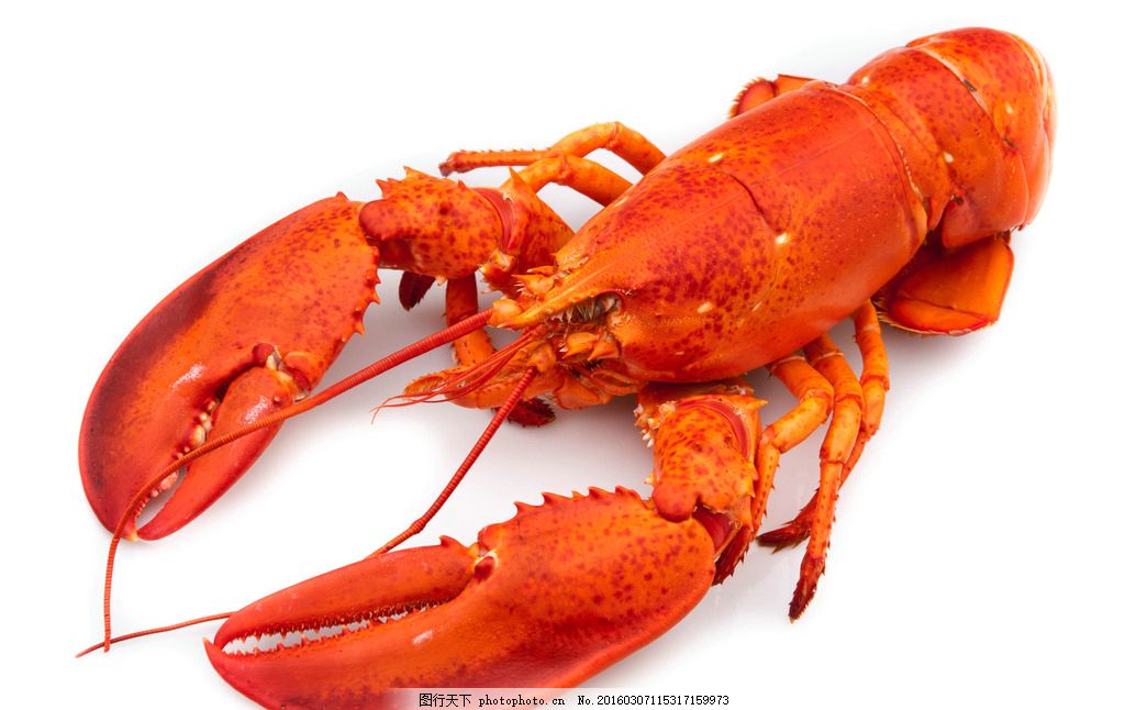 特种兵勇哥打混混龙虾