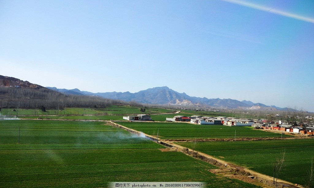 乡村景色 农村风景 家乡风貌 平原地区 乡下小路 中原 湖北到北京 河南河北景色 地区风貌 土路 树木 田地 广阔田野 村庄 房子 麦苗 蓝天 绿色盎然 绿苗 麦田 阳春三月 天气晴朗 春天 春季 北方 庄稼 田舍 高铁上 动车上拍摄 田园风光 高铁上 摄影 自然景观 田园风光 300DPI JPG