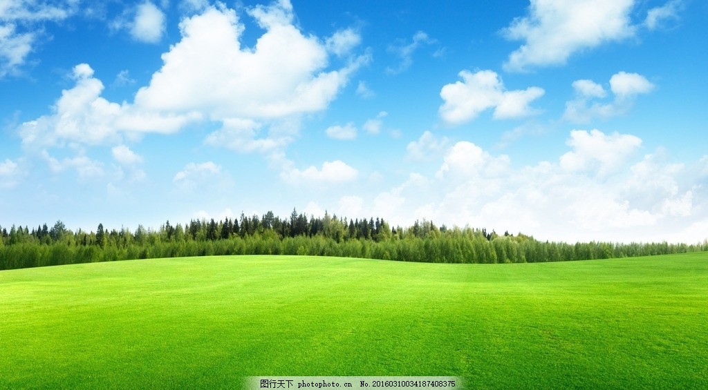 蓝天绿地 蓝天 绿地 青草地 开阔 树木 青新 摄影 自然景观 自然风景