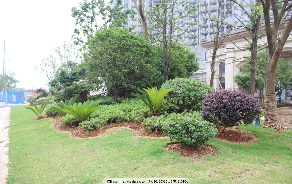 微软件植物景观营造v软件电路图绘制地形有哪些图片