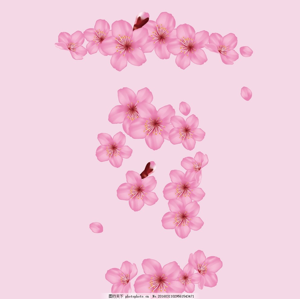 日本 樱花 花瓣 粉色,樱花设计 底纹边框 花边花