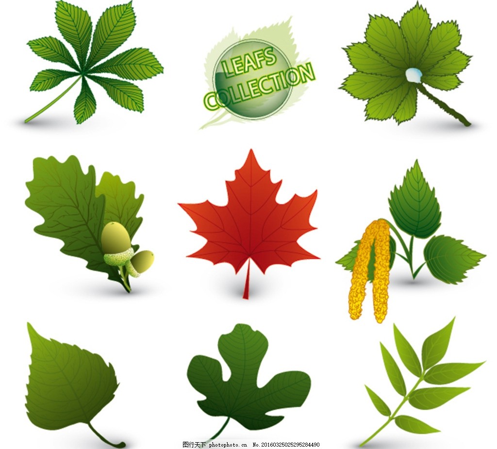 看图猜成语草树仙人掌_看图猜成语(3)