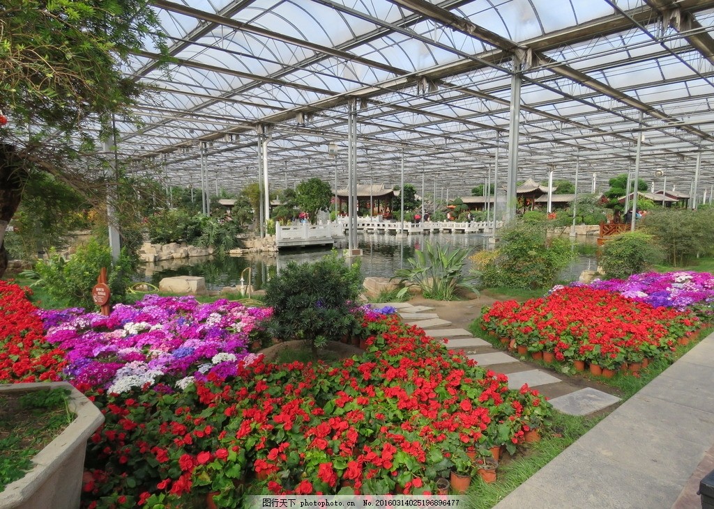 花棚图片 花草 生物世界 图行天下素材网