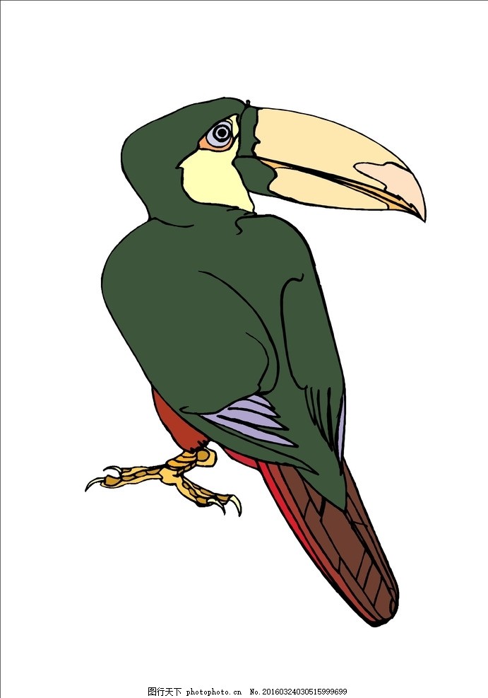 卡通鸟,动物,飞禽,小鸟,大鸟,鸟类,鸟图片